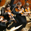 Filharmonia Poznańska zdjęcie id: 34794